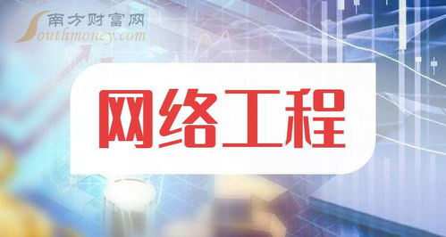 网络工程行业概览 主要企业类型与代表公司（2025年11月更新）