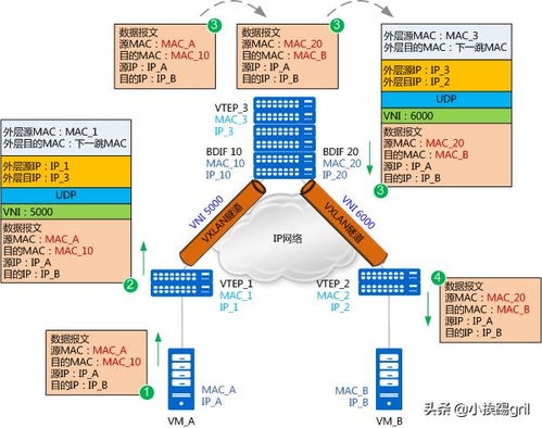 三层VNI VXLAN 网络工程师你真的理解VXLAN技术吗？原来二层网络可以这么玩！